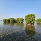 Kavvayi Backwater Kannur 